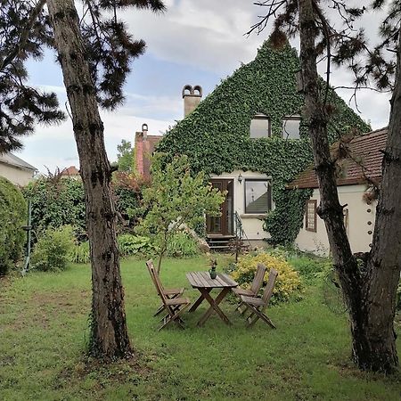 Gartenapartment Storchenblick Weiden am See Εξωτερικό φωτογραφία