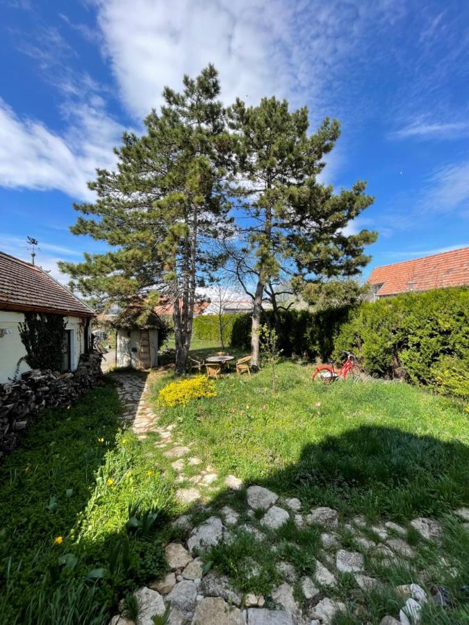 Gartenapartment Storchenblick Weiden am See Εξωτερικό φωτογραφία