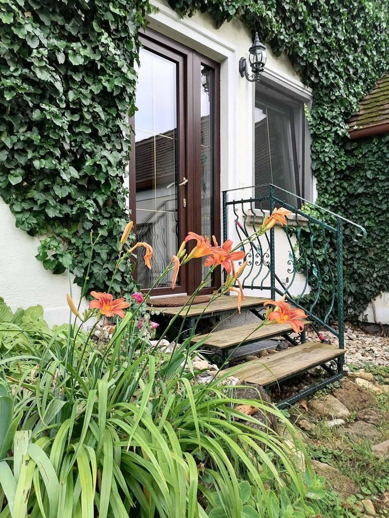 Gartenapartment Storchenblick Weiden am See Εξωτερικό φωτογραφία