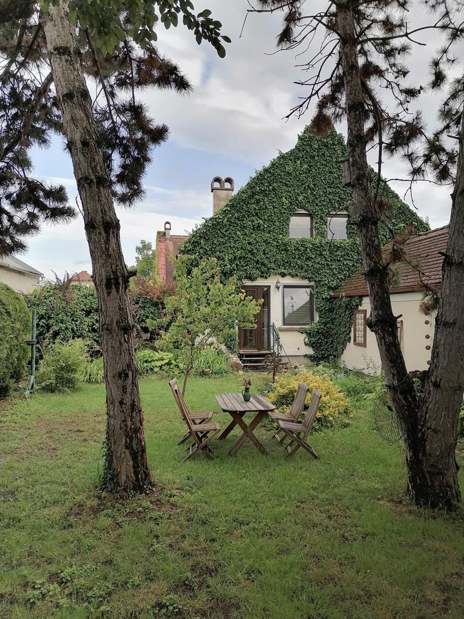 Gartenapartment Storchenblick Weiden am See Εξωτερικό φωτογραφία